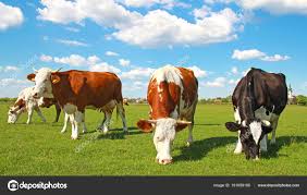 ¿La ganadería como responsable o potencial mitigador del cambio climático?