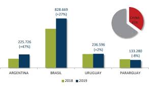 MERCOSUR: Excepcional performance exportadora de carne vacuna durante 2019