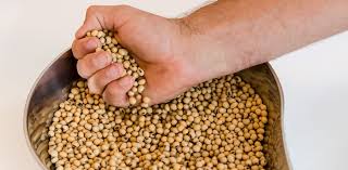 Agregaron valor a la producción local y ahora exportan a 15 países