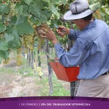 Los productores de vino se reunirán con legisladores nacionales por la suba de las retenciones que impulsa el Gobierno