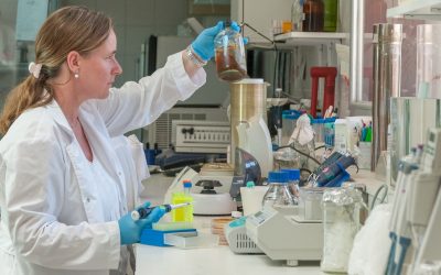 Descubren una especie de bacteria que degrada biomasa