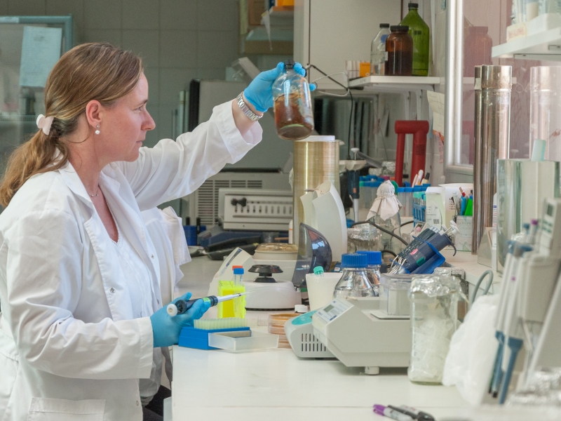 Descubren una especie de bacteria que degrada biomasa