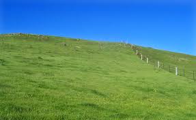 Prevén tiempo fresco y seco, seguido de un marcado ascenso térmico sobre el área agrícola