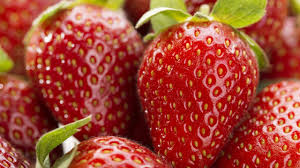 Cómo producir frutillas de calidad todo el año