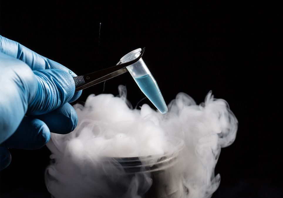 Descubren nuevos virus alojados en el antiguo hielo tibetano