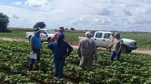 Fijan un aumento para los trabajadores agrarios, que tendrán salarios de hasta $326.000