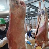 Argentina exporta carne ovina con hueso congelado a China?