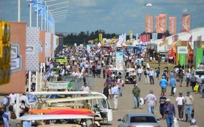 Agro: Apuntes para Empresas. Marzo 2020