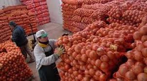 Empaques y cámaras de frío deberán declarar el origen de la cebolla que procesen