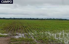 Por fin: esta semana vuelven las precipitaciones sobre la mayor parte de las zonas necesitadas de agua