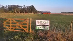 Las expectativas de las elecciones de octubre dispararon la búsqueda de campos agrícolas