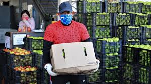 Fuerte incremento del 50,4% interanual en las exportaciones de alimentos