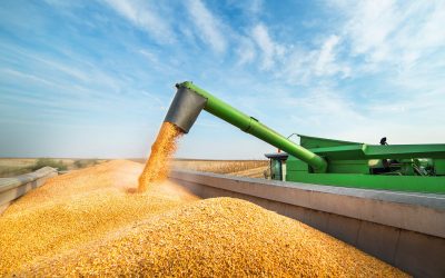 Cúales son las actividades económicas mas afectadas por el coronavirus