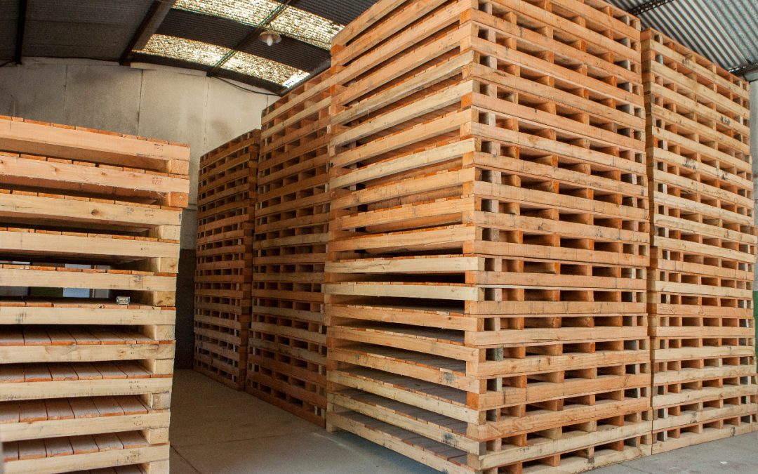 La madera y su aporte a la mitigación del cambio climático y a la economía circular