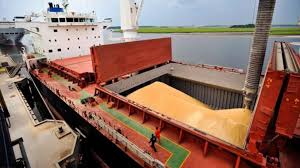 El aporte de la agroindustria en las exportaciones argentinas del 2023