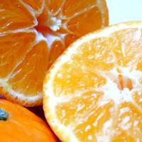 Primera exportación de frutas frescas cítricas desde  puertos bonaerenses a Rusia