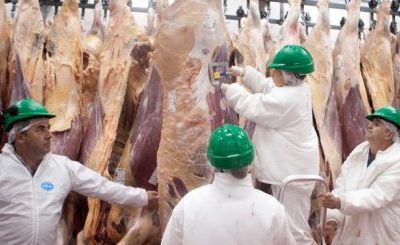 La faena bovina cayó en diciembre a unos 1,082 millones de cabezas