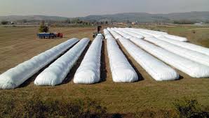 La novedosa alternativa para canjear granos por propiedades