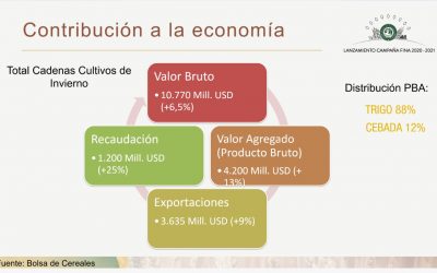Para la Campaña Fina 2020/21 se espera una producción récord cercana a 25 millones de toneladas