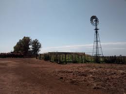 Prevén moderado ascenso térmico y luego vigorosa irrupción de vientos polares