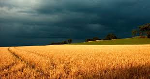 Qué depara el clima en un año: informe estacional