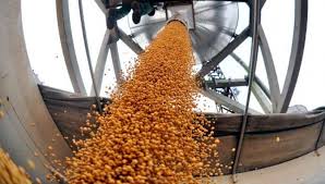 Ranking de exportación de empresas agroindustriales según ventas en la campaña 2020/21