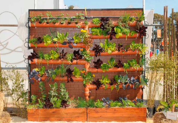 Huertas: pautas para evitar la propagación del dengue