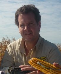 Fertilización balanceada, el camino del trigo para acortar las brechas de rendimiento