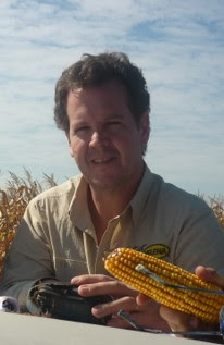 Fertilización balanceada, el camino del trigo para acortar las brechas de rendimiento