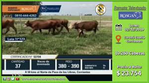 Gran demanda de los feedloteros integrados en el remate de Rosgan