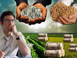 Soja: por qué cae el ingreso de divisas cuando la venta de productores es la más alta en 8 años