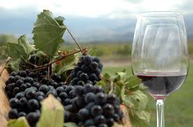 Las exportaciones vitivinícolas crecieron US$ 168 millones en 10 años: Destacan la importancia de diversificar la oferta