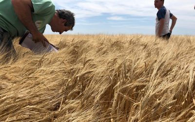 Agustín Bilbao: “Las malezas resistentes son el error que comete el protagonista a los 30 minutos de la película y el punto de partida para que se replantee su vida”