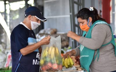 Cómo afecta la pandemia al abastecimiento de alimentos