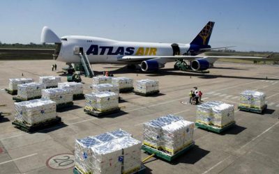 Arándanos: comienza la cosecha y no se puede exportar por la cancelación de vuelos