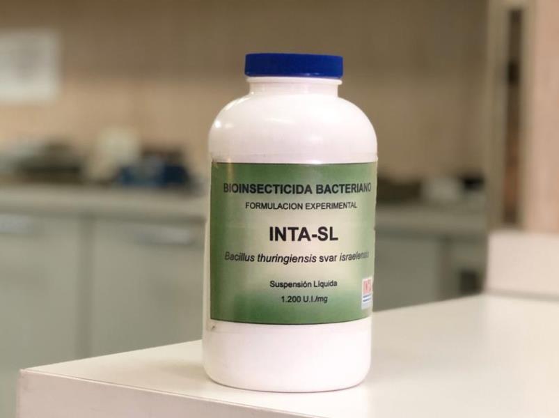 El INTA generó un biolarvicida para hacer frente al dengue