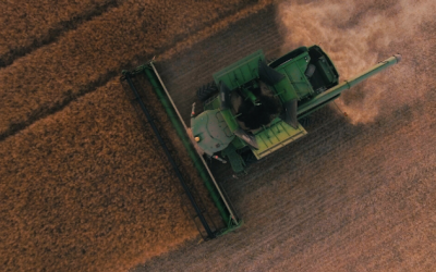 Mercados y liquidación de divisas: nada es lo que parece