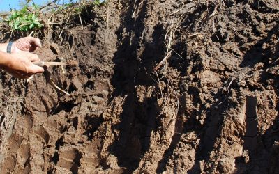 Premio para un libro que promueve la conservación del suelo y del agua