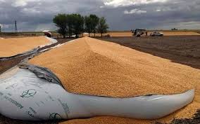 CRA celebra el proyecto que crea la figura de «vandalismo rural»