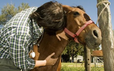 Se agiliza la carga de actas de toma de muestras para diagnósticos de sanidad animal