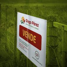 El mercado inmobiliario rural arrancó el año con menor actividad, pero en niveles estables