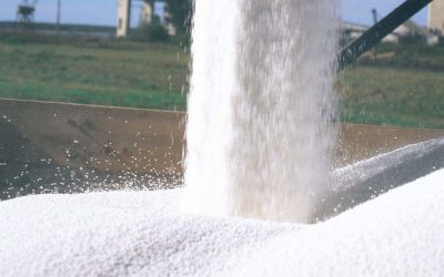 Demandantes y exportadores de fertilizantes en el mundo