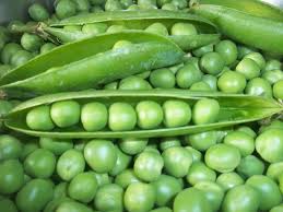 El cultivo de arvejas enfrenta un gran desafío a nivel mundial