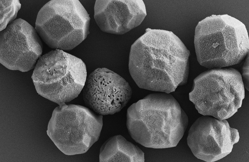 Utilizan baculovirus para el diagnóstico de la COVID-19