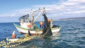 La ordenación pesquera funciona: es hora de aplicarla de forma más amplia