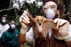 «Esta no es la última pandemia»: la advertencia de los científicos ante la «tormenta perfecta» para nuevas enfermedades