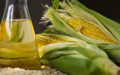 Producir etanol en miniusinas reduce 2,5 veces la emisión de carbono
