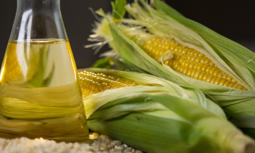 Producir etanol en miniusinas reduce 2,5 veces la emisión de carbono