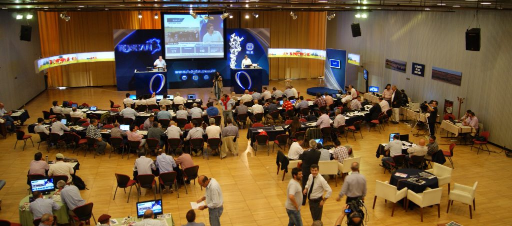 Remate del mercado: se sostienen los precios e incluso hay importantes mejoras