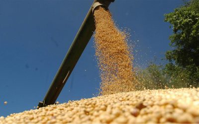 En mayo el agro liquidó casi US$ 2.000 millones por exportaciones: más que en abril, pero menos que el año pasado